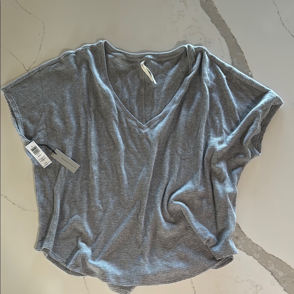 Aritzia Babaton Gray Berry V-Neck Women Top